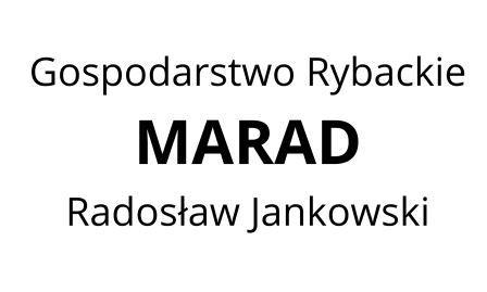 Bez nazwy (580 x 580 mm)